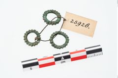 Foto von Bronzering (NHMW-PRAE-025926)
